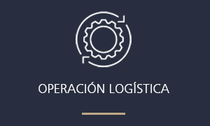 images/caplogistics_icono_inicio_1b.png