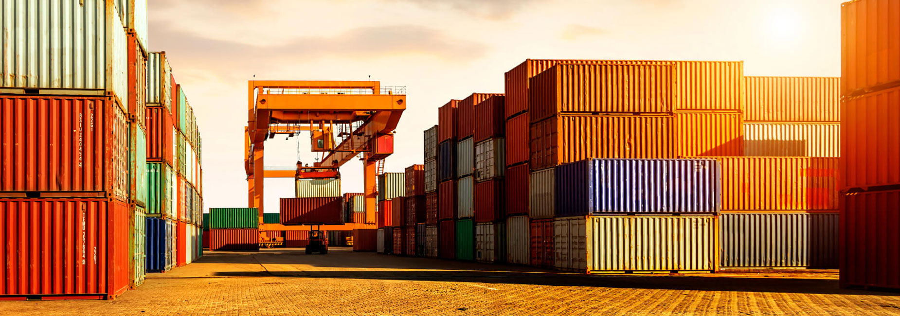 caplogistics_foto3